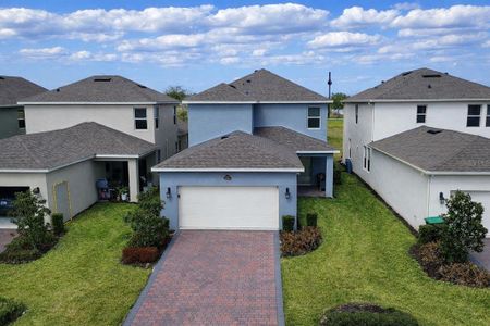 New construction Single-Family house 11021 Bostwick Aly, Winter Garden, FL 34787 - image