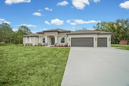 New construction Single-Family house 1314 Fayetteville Dr, Spring Hill, FL 34609 - image