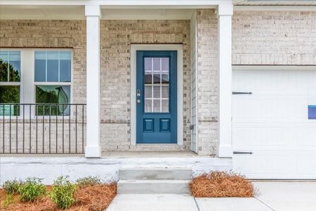 New construction Single-Family house 155 Ivey Township Dr, Dallas, GA 30132 Sherwood Basement- photo 6 6