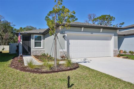 New construction Single-Family house 7321 Boggy Creek Pl, Parrish, FL 34219 Denali- photo 2 2