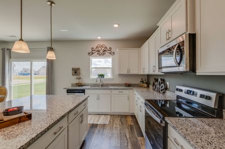 New construction Single-Family house 731 Larry Circle Mt, Mount Pleasant, TN 38474 plan Harvest GY - image 12