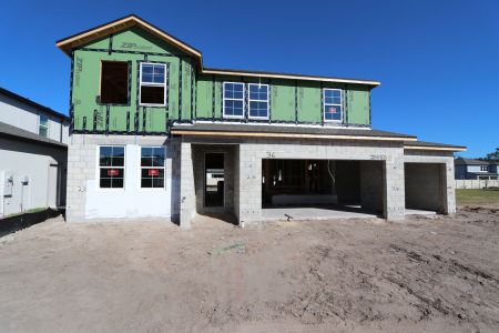 New construction Single-Family house 20050 Oriana Loop, Land O' Lakes, FL 34638 Santa Monica- photo 20 20