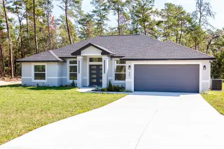 New construction Single-Family house 429 Fisher Rd, Ocklawaha, FL 32179 - image