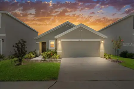 New construction Single-Family house 10048 Big Marsh Ter, Parrish, FL 34219 plan Allex - image