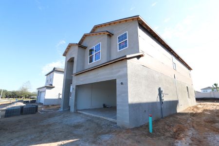 New construction Single-Family house 38338 Tobiano Loop, Dade City, FL 33525 Mira Lago- photo 81 81