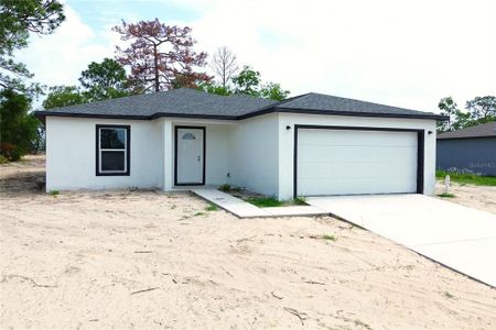 New construction Single-Family house 12493 Killian St, Spring Hill, FL 34609 - image