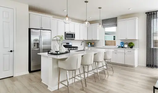 New construction Single-Family house 4822 Peaceleaf Ln, Green Cove Springs, FL 32043 plan Agate - image