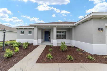 New construction Single-Family house 10027 Sw 106Th Cir, Ocala, FL 34481 plan Livingston - image