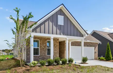 New construction Single-Family house 433 Stanza Dr, Murfreesboro, TN 37128 plan Palmary - image