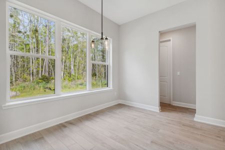 New construction Single-Family house 14224 Lons Pl, Jacksonville, FL 32226 plan Amelia - image 19