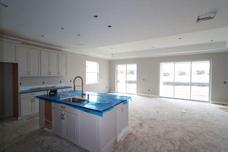 New construction Single-Family house 20264 Oriana Loop, Land O' Lakes, FL 34638 Santa Monica- photo 115 115