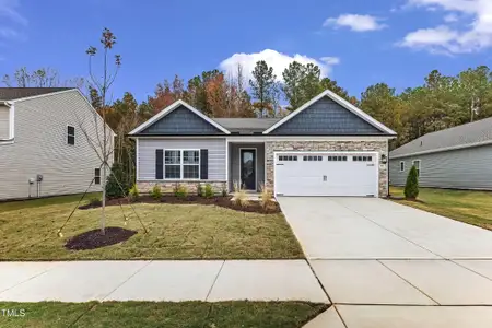 New construction Single-Family house 203 Jetson Creek Way, Youngsville, NC 27596 null- photo 0