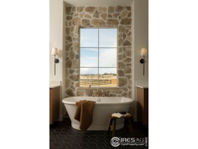 New construction Single-Family house 271 Cornelia Dr, Windsor, CO 80550 - image 4