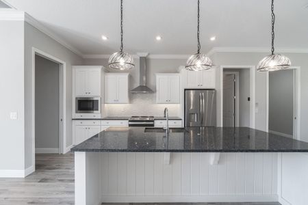 New construction Single-Family house 335 Conch Key Ln, Lady Lake, FL 32159 plan Amelia - image 6