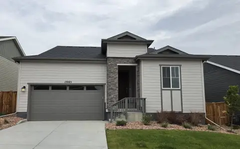New construction Single-Family house 17065 W 92Nd Lp, Arvada, CO 80007 plan Maroon Bells - image