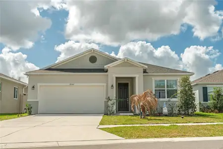 New construction Single-Family house 20147 Azul Marble Lp, Land O' Lakes, FL 34638 - image