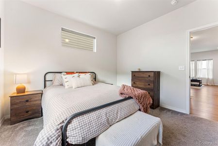 New construction Single-Family house 5269 Painted Sky Vw, Colorado Springs, CO 80916 - image 19