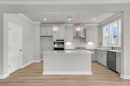 New construction Single-Family house 217 Crosswick St, Summerville, SC 29483 plan Dabney - image 9