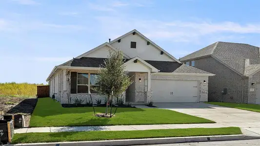 New construction Single-Family house 1319 Ackerman St, Royse City, TX 75189 Cottonwood II- photo 0