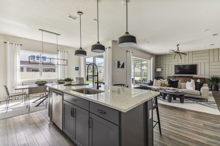 New construction Single-Family house 5161 Everlong Dr, Apollo Beach, FL 33572 plan Yorkshire - image