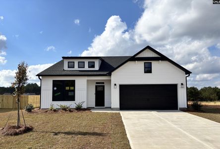 New construction Single-Family house 201 Caballeros Trl, Prosperity, SC 29127 plan Courtland II - image