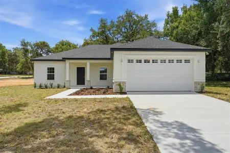 New construction Single-Family house 13404 New York Ave, Astatula, FL 34705 - image