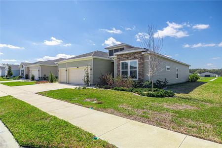 New construction Single-Family house 7374 Sw 77Th Ave, Ocala, FL 34481 null- photo 29 29