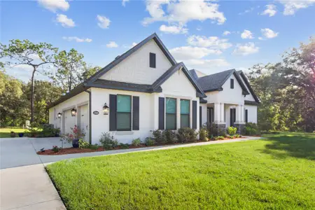 New construction Single-Family house 17000 Nokota Ave, Hudson, FL 34667 - image