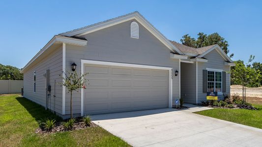 New construction Single-Family house 1617 Nw 248Th Wy, Newberry, FL 32669 null- photo 5 5