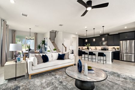 New construction Single-Family house 406 Free Range Dr, Groveland, FL 34736 plan Talquin - image 7