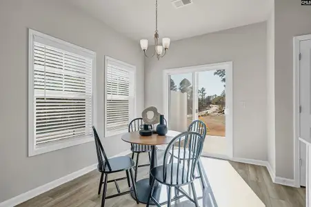 New construction Single-Family house 218 Carillo Dr, Columbia, SC 29223 plan Cliffside - image 9