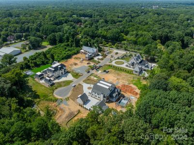 New construction Single-Family house 8022 Litaker Manor Court, Charlotte, NC 28270 - photo 6 6