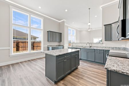 New construction Single-Family house 130 Merion Ln, La Vernia, TX 78121 - image 11