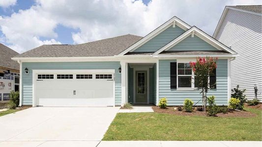 New construction Single-Family house 611 Pinnate Dr Se, Bolivia, NC 28422 plan Litchfield - image