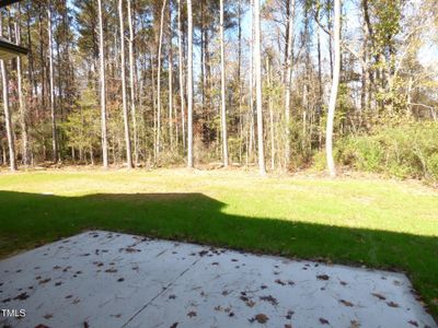 New construction Single-Family house 90 Blackberry Lane, Benson, NC 27504 - photo 25 25