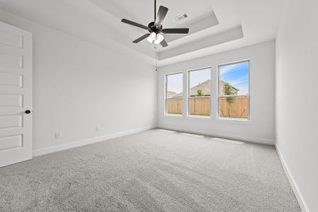 New construction Single-Family house 10803 Alcyone Grove Wy, Richmond, TX 77406 plan The Albany IX - image