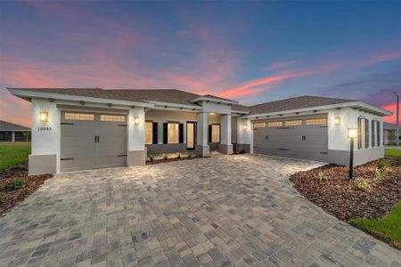 New construction Single-Family house 10553 Sw 98Th Pl, Ocala, FL 34481 - image
