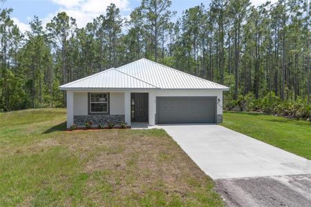 New construction Single-Family house 4253 Fruitwood Ave, Bunnell, FL 32110 - image