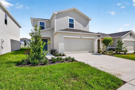 New construction Single-Family house 12419 Gust Ct, Hudson, FL 34669 plan Maple - image