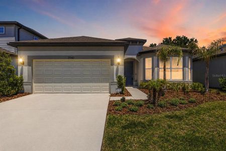 New construction Single-Family house 2940 Forest Meadow Ave, Valrico, FL 33594 - image