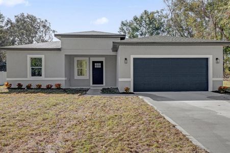 New construction Single-Family house 4405 Sw 155Th Place Rd, Ocala, FL 34473 null- photo 0