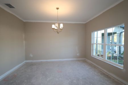 New construction Single-Family house 20125 Oriana Loop, Land O' Lakes, FL 34638 Santina II- photo 129 129