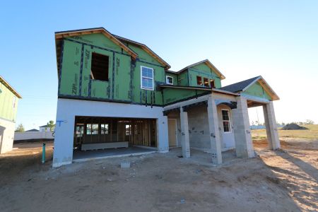 New construction Single-Family house 38326 Tobiano Loop, Dade City, FL 33525 Casanova- photo 23 23