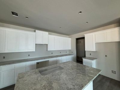 New construction Single-Family house 14313 Nebula Dr, Fort Worth, TX 76052 Nueces- photo 8 8