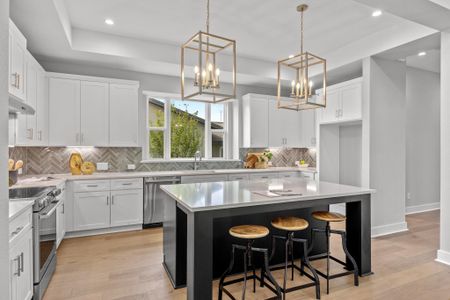 New construction Single-Family house 2127 Quiet Stables Cir, Cedar Park, TX 78613 Martin- photo 19 19