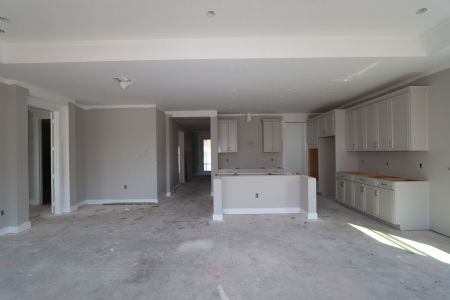 New construction Single-Family house 20264 Oriana Loop, Land O' Lakes, FL 34638 Santa Monica- photo 103 103