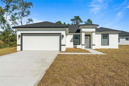 New construction Single-Family house 4513 Sw 170Th Road, Ocala, FL 34473 - photo 0