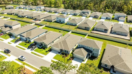 New construction Single-Family house 2047 Rosewood Cir, Lakeland, FL 33810 null- photo 46 46