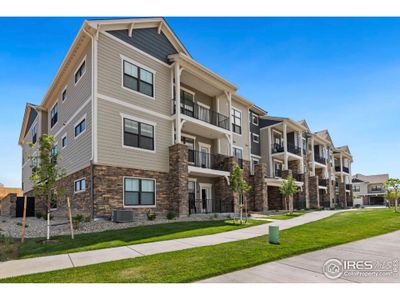 New construction Multi-Family house 3425 Triano Creek Dr, Unit #206, Loveland, CO 80538 Stanford- photo 0