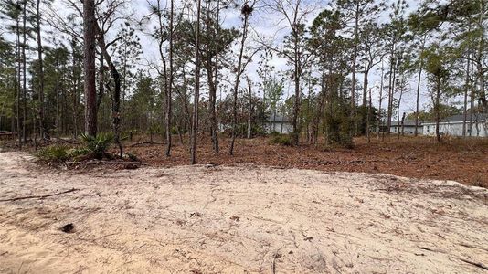 New construction Single-Family house 958 W Cary Dr, Citrus Springs, FL 34434 null- photo 3 3